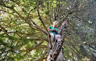 黑色课程工作坊 